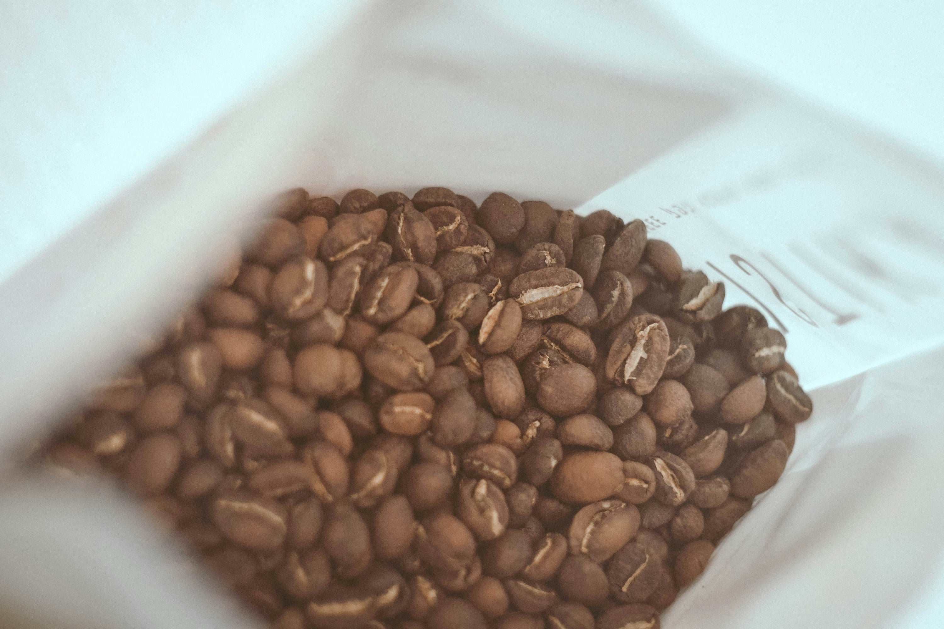 freshly roasted coffee beans beside ceramic cup with tropical mountain sunrise backdrop